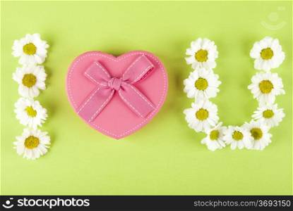 Pink gift box White daisies writing I love you on green background