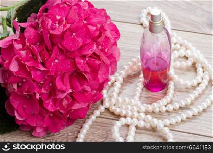 pink hortensia  flowers and bottle of fragrance