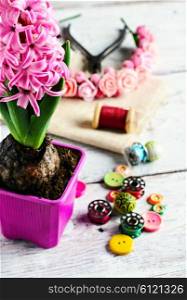 Pink hyacinth and tools for making jewelry for spring. Hyacinth thread decoration