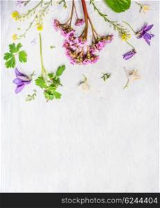 Pink, lilac and yellow spring or summer garden flowers and plants on light wooden background, top view, border