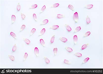 Pink lotus petals on white background.