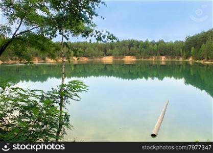pink orchid. beautiful summer landscape with picturesque lake in the pine forest