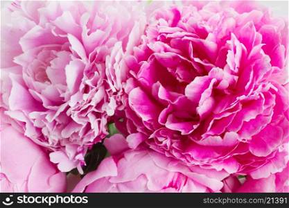 pink peonies. bouquet of fresh pink peonies close up