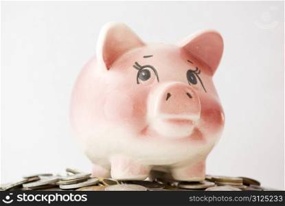 Pink piggy bank isolated on white background with coins