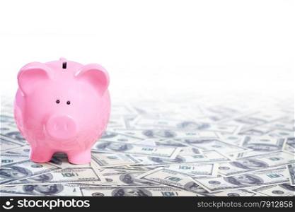 Pink Piggy Bank Standing on the Field of Dollars Notes