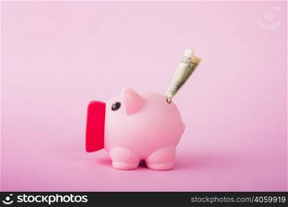 pink piggy bank with money