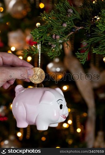 Pink piggybank hanging from branch of christmas tree with a hand putting a gold coing into the savings bank
