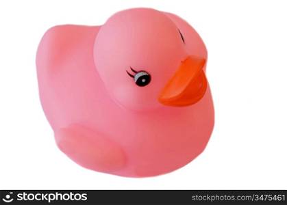 Pink plastic duck a over white background