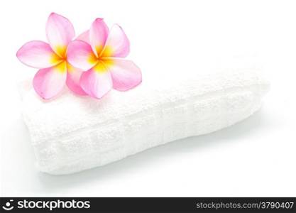 Pink Plumeria flower with a white towel in spa condition