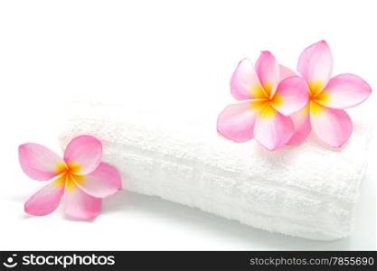 Pink Plumeria flower with a white towel in spa condition