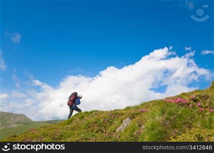 Pink rhododendron flowers and happy young woman on summer mountainside(Ukraine, Carpathian Mountains)