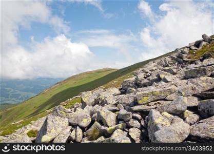 Pink rhododendron flowers and large stones on summer mountainside (Ukraine, Carpathian Mountains)