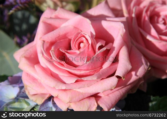 Pink rose and blue hydrangea in a floral arrangement