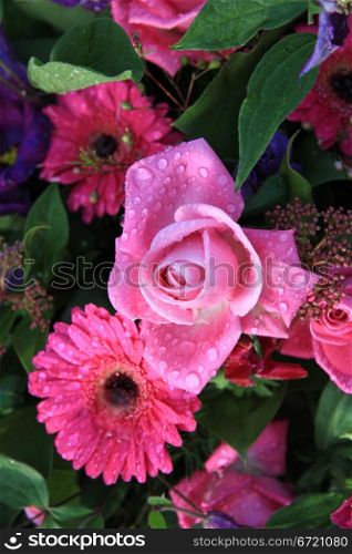 Pink rose and gerbera with waterdrops after a rainshower