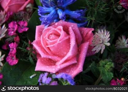 Pink rose and other blue flowers after a rainshower