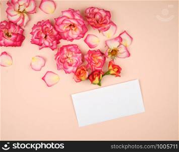 pink rose buds and a white paper envelope on a bieg background, top view, flat lay