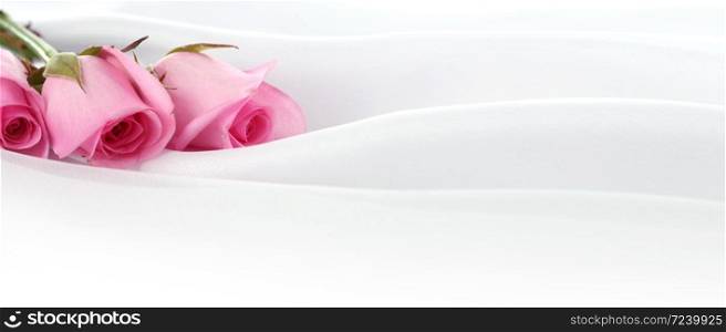 Pink Rose flower bouquet. Wedding horizontal background.