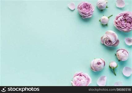 Pink rose flowers on pastel blue background. Flat lay, top view, copy space