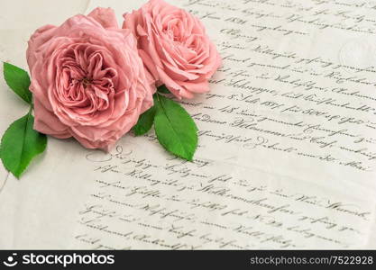 Pink rose flowers over antique handwritten letter. Vintage paper background. Selective focus