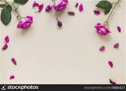 pink rose flowers with petals table . Resolution and high quality beautiful photo. pink rose flowers with petals table . High quality and resolution beautiful photo concept