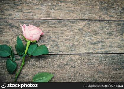 Pink rose lying on a wooden table. Vintage
