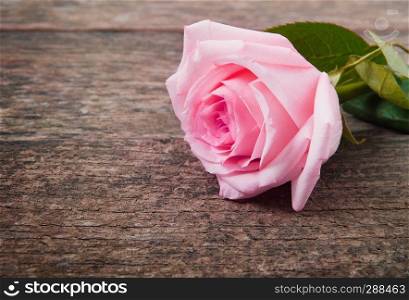 Pink rose lying on a wooden table. Vintage