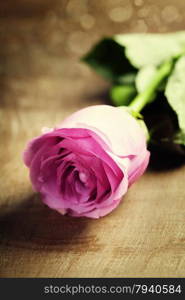 Pink rose on wooden vintage table