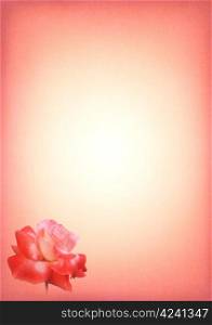Pink Rose Print Writing Paper with Gradient and Text Area