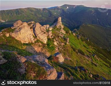 Pink rose rhododendron flowers on early morning summer mountain slope, Carpathian, Chornohora, Ukraine.