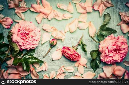 Pink roses arrangements with flowers petal and leaves on turquoise shabby chic background, top view