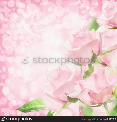 Pink roses bokeh background