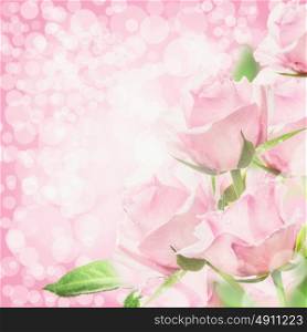 Pink roses bokeh background
