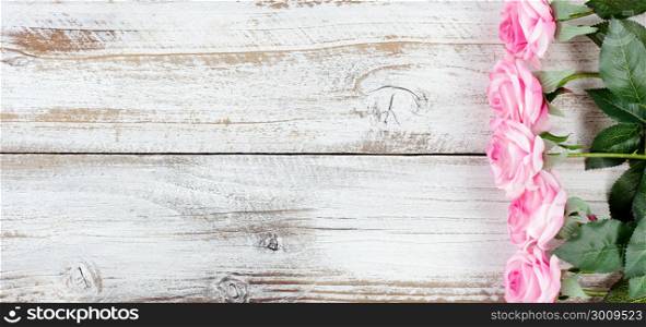 Pink roses forming right border on white aged wooden boards