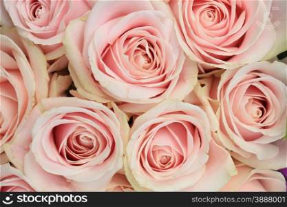 Pink roses in a bridal bouquet