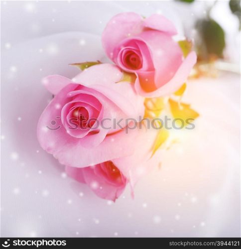 pink roses on a white silk