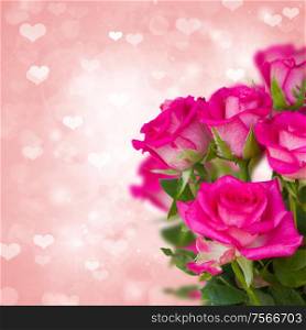 pink roses on bokeh background with hearts