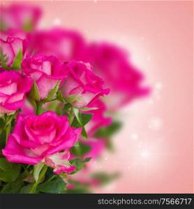 pink roses on bokeh background with hearts