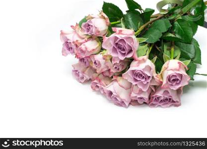 Pink roses on white background. Valentine&rsquo;s background. Pattern of flowers.