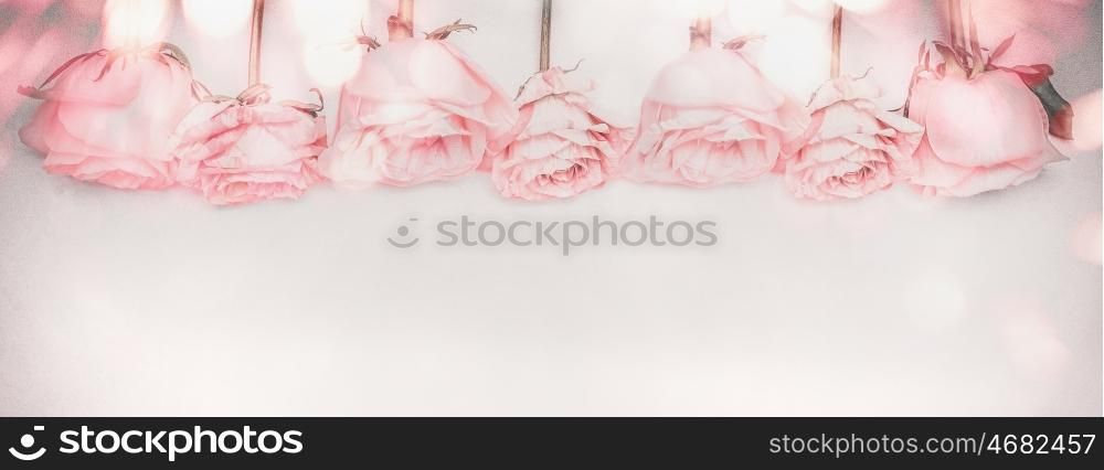 Pink roses panoramic border with bokeh lighting and faded colors, banner