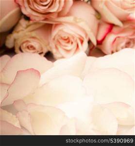 pink roses petals like a background closeup