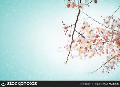 Pink Sakura flowers are blooming with snow blue sky