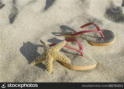 Pink sandals on the beach in the sand. Star fish