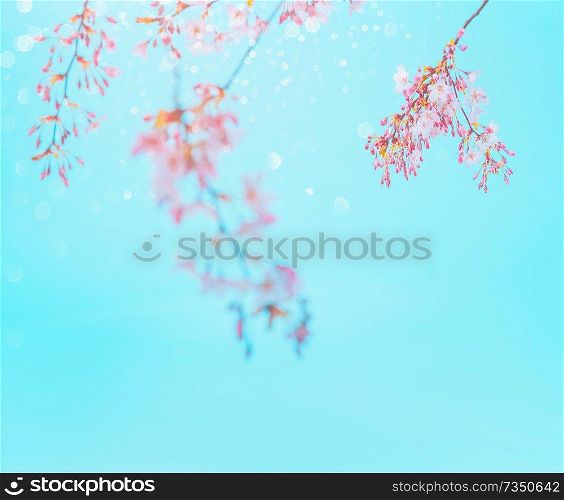 Pink spring blossom at turquoise blue sky background. Floral border. Springtime nature background