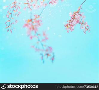 Pink spring blossom at turquoise blue sky background. Floral border. Springtime nature background