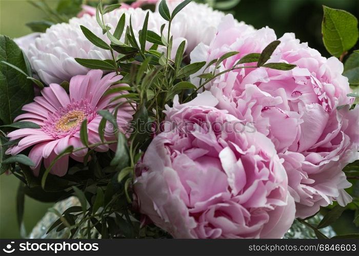 Pink summer flowers bouquet in a vase outdoors in a garden. Pink summer flowers close up