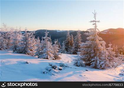 Pink sunrise and winter mountain landscape (Carpathian, Ukraine)
