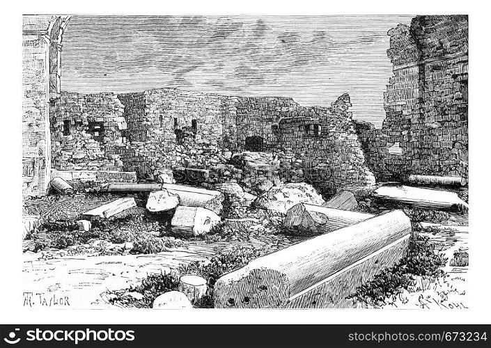Pink Syenite Columns of the Crusader Cathedral Ruins in Tyre, Lebanon, vintage engraved illustration. Le Tour du Monde, Travel Journal, 1881
