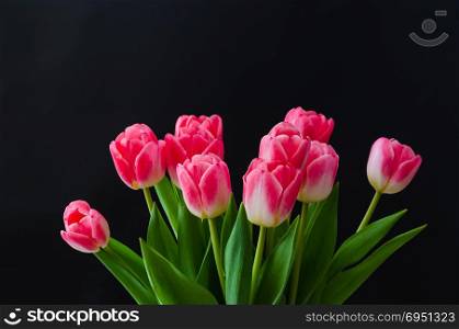 Pink tulip flowers boquet at black background