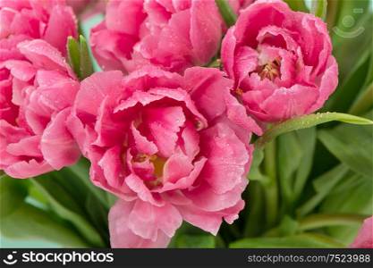 Pink tulip flowers with water drops. Floral arrangement
