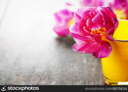 Pink tulip in yellow vase with space for text